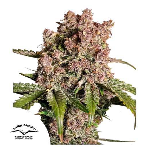 Strawberry Soda